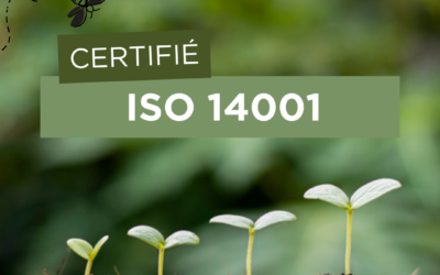 ISO 14001 Certification