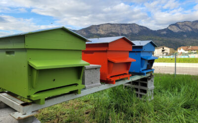 Installation de ruches chez INODEC