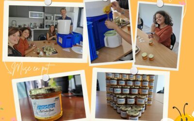 [HAPPY CULTURE] La mise en pot de notre miel